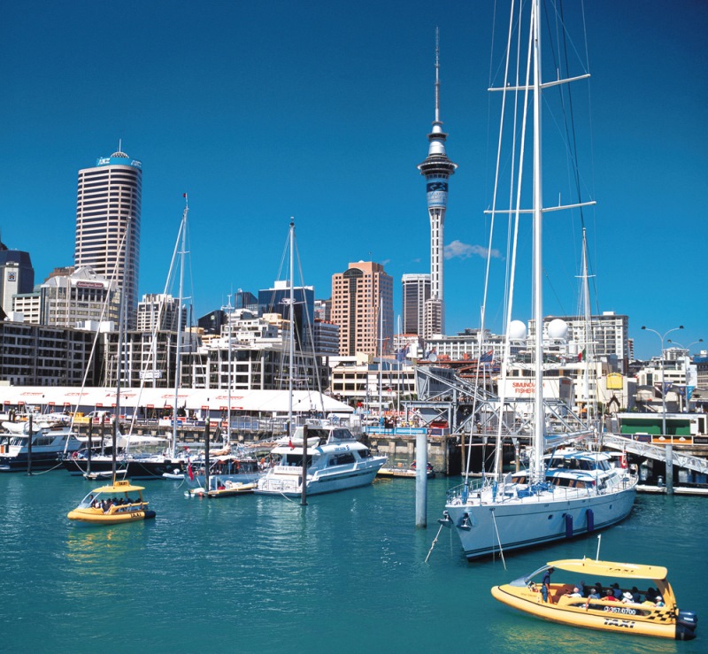 free walking tours in auckland